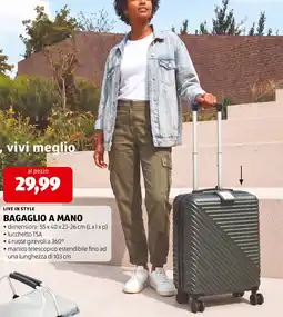ALDI Bagaglio a mano offerta