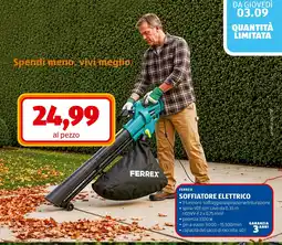 ALDI Soffiatore elettrico Ferrex offerta