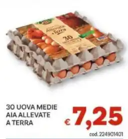Vivo Supermercati Uova medie AIA allevate a terra offerta