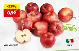 ALDI Mini mele offerta