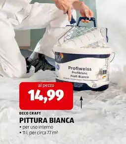 ALDI Deco Craft Pittura Bianca offerta
