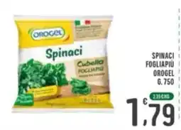 La Mimosa Supermercati Spinaci Cubello Fogliapiu Orogel offerta
