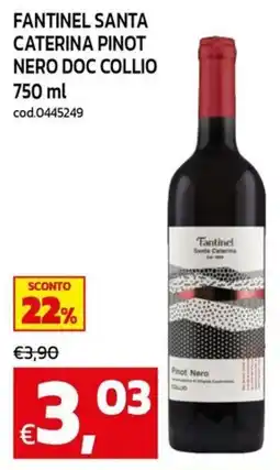 C+C maxigross Tantinel Santa Caterina Pinot Nero offerta