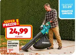 ALDI Soffiatore elettrico Ferrex offerta