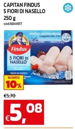 C+C maxigross Findus 5 Fiori di Nasello offerta