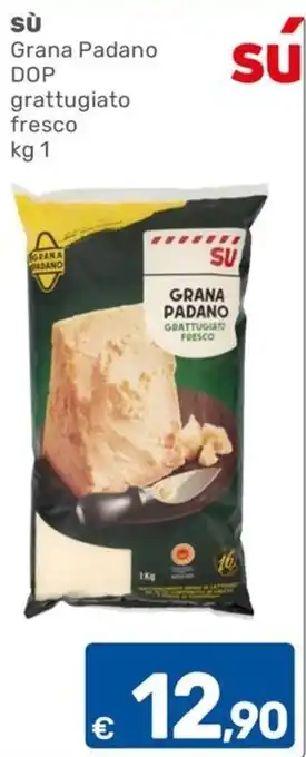 ARCA C+C cash and carry Grana Padano DOP grattugiato fresco offerta