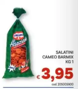 Vivo Supermercati Salatini Cameo Barmix offerta
