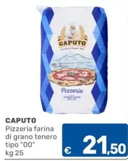 ARCA C+C cash and carry Caputo Pizzeria farina di grano tenero tipo "00" offerta