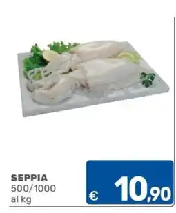 ARCA C+C cash and carry Seppia offerta