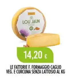 Scelgo Formaggio Caglio Veg. e Curcuma senza lattosio offerta