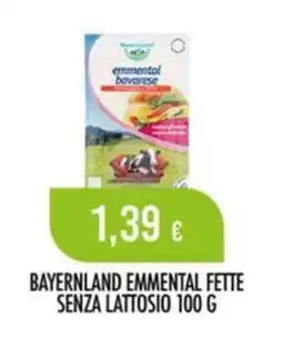 Scelgo Bayerland emmental fette offerta