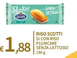 SpeSì Riso Scotti Si con Riso Plumcake senza lattosio offerta