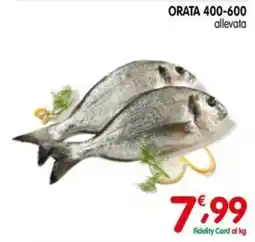 D'Ambros Orata allevata offerta