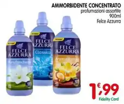 D'Ambros Ammorbidente concentrato Felce Azzurra offerta
