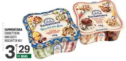 Tutto Risparmio Cash&Carry Sammontana Sorbettiera Delizie del Sud offerta