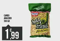 Supermercato Pollio Cameo Snack Friends Arachidi offerta