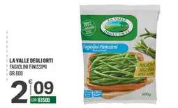 Tutto Risparmio Cash&Carry La Valle degli Orti Fagiolini Finissimi offerta