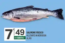 Tutto Risparmio Cash&Carry Salmone fresco offerta