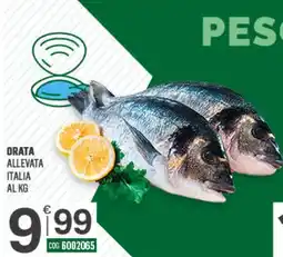 Tutto Risparmio Cash&Carry Orata allevata Italia offerta