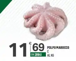 Tutto Risparmio Cash&Carry Polpo Marocco offerta