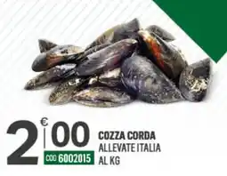 Tutto Risparmio Cash&Carry Cozza corda allevate Italia offerta