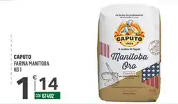 Tutto Risparmio Cash&Carry Caputo farina manitoba offerta