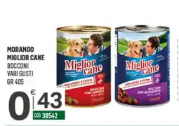 Tutto Risparmio Cash&Carry Miglior cane Bocconi offerta