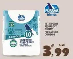 Ard Discount Tappetini assorbenti Purams friends offerta