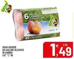 Ard Discount Uova Uovodè offerta