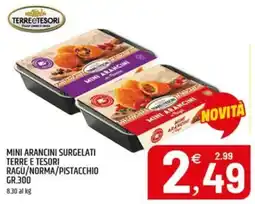 Ard Discount Mini arancini surgelati Terre e Tesori offerta