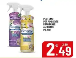Ard Discount Coccolatevi profumo per ambiente offerta
