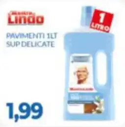 GeD Shopping Mastro Lindo Pavimenti 1LT Sup Delicate offerta