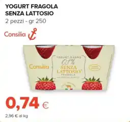 Oasi Yogurt fragola senza lattosio Consilia offerta