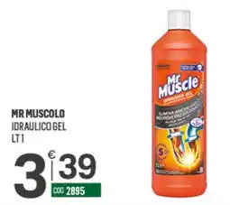 Tutto Risparmio Cash&Carry Mr Muscle idraulico gel offerta