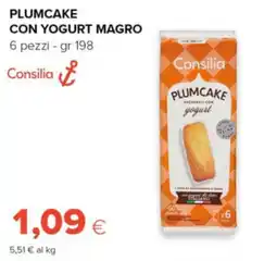 Oasi Plumcake Consilia con yogurt magro offerta