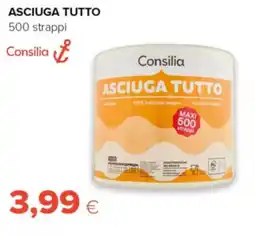 Oasi Asciuga tutto Consilia offerta