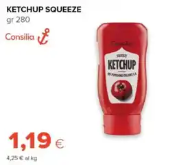 Oasi Ketchup Squeeze Consilia offerta