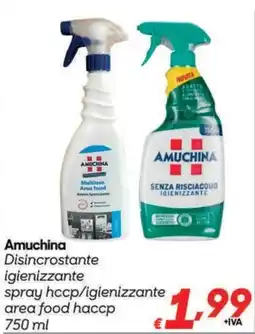 Pac Cash&Carry Amuchina disincrostante igienizzante offerta