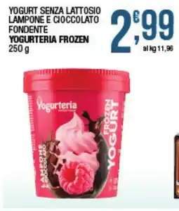 Maxi Sidis Yogurt senza lattosio lampone e cioccolato fondente Yogurteria Frozen offerta