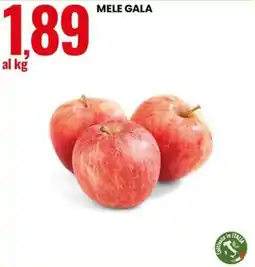 Eurospin Mele Gala offerta