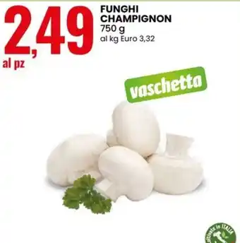 Funghi champignon