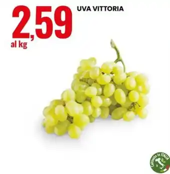 Uva Vittoria
