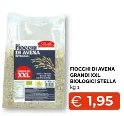 Mercatò Big Fiocchi di avena grandi xxl biologici stella offerta