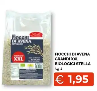 Fiocchi di avena grandi xxl biologici stella