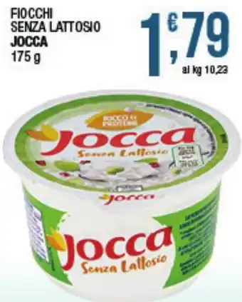 Maxi Sidis Fiocchi senza lattosio Jocca offerta