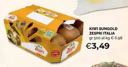 Mercatò Big Kiwi Sungold Zespri Italia offerta