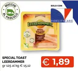 Mercatò Extra Special Toast Leerdammer offerta
