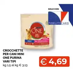 Mercatò Big Crocchette per cani mini One Purina offerta
