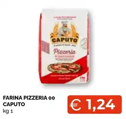 Mercatò Big Farina Pizzeria 00 Caputo offerta