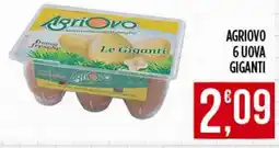 Netto Supermercati AgriOvo Le Giganti offerta